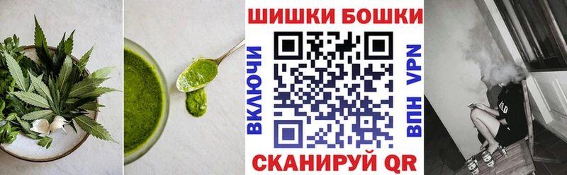 где продают   Боровск  Canna-Cookies конопля 