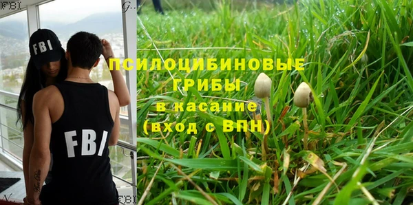 бошки Алзамай
