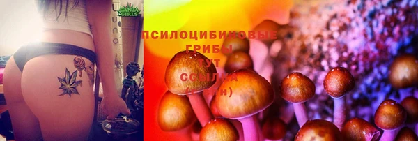 винт Богородск