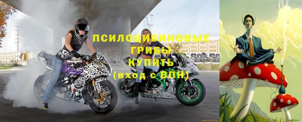 хмурый Алексеевка