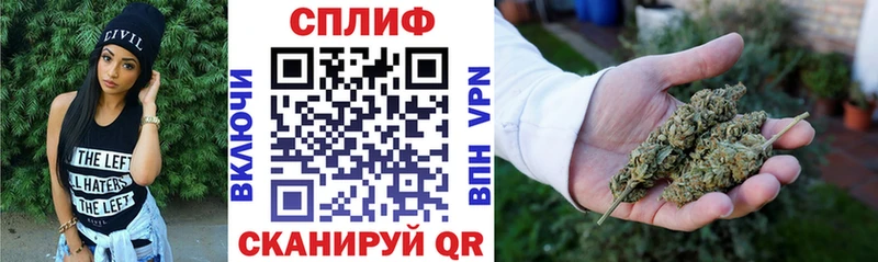 Каннабис сатива  Боровск 